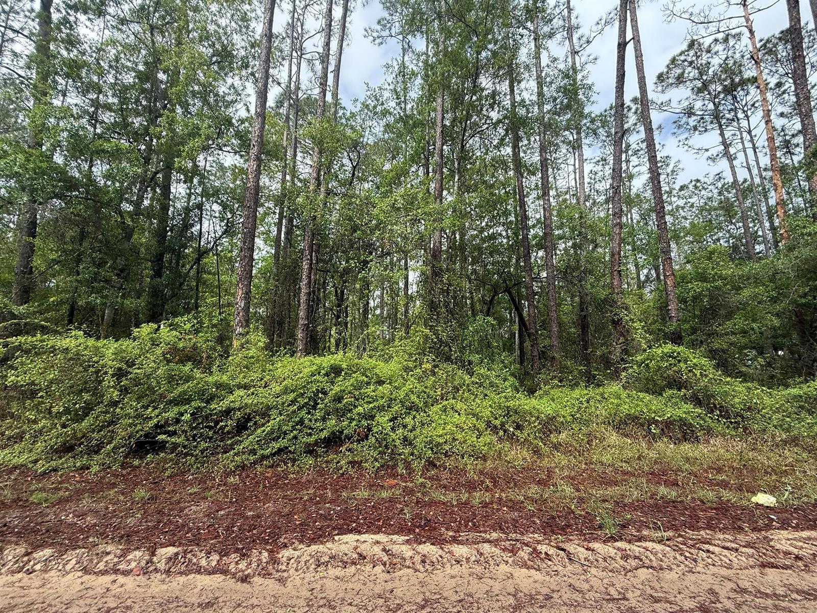Tbd Seminole Avenue, FL 32148