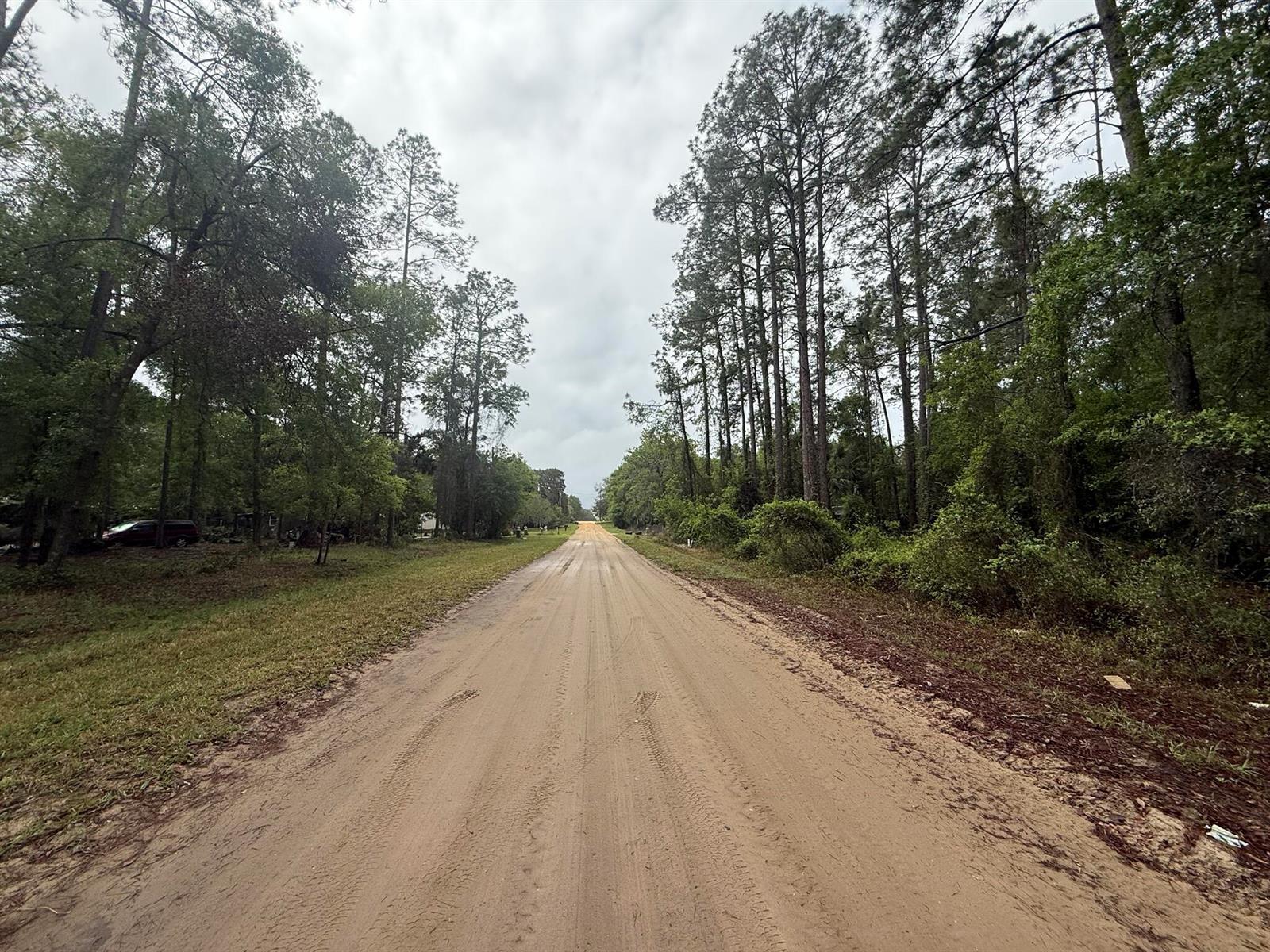 Tbd Seminole Avenue, FL 32148 photo 5