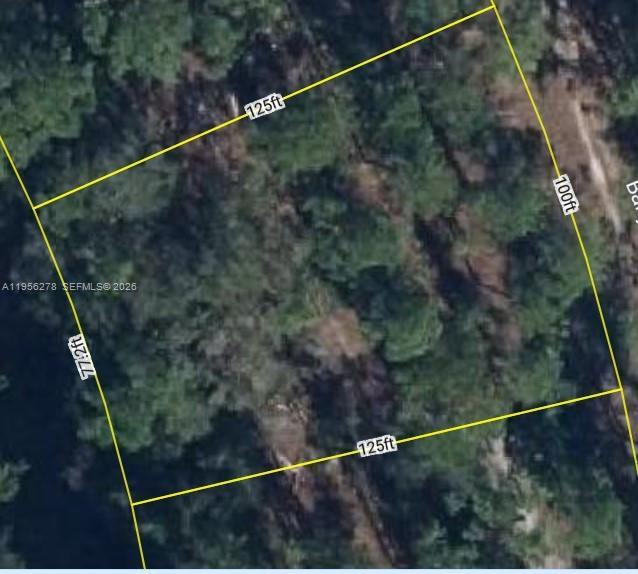 6203 BANYAN RD, Sebring FL 33875 photo 5