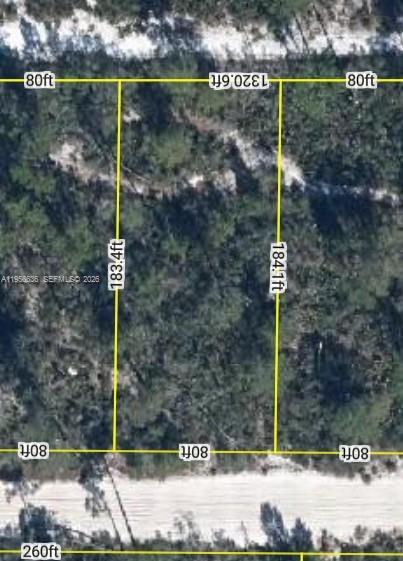2210 PETUNIA AVE, Sebring FL 33875 photo 2