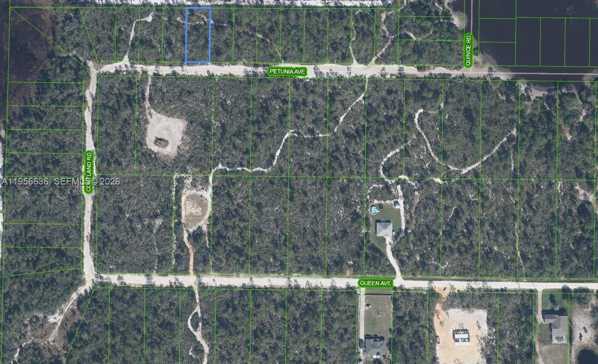 2210 PETUNIA AVE, Sebring FL 33875