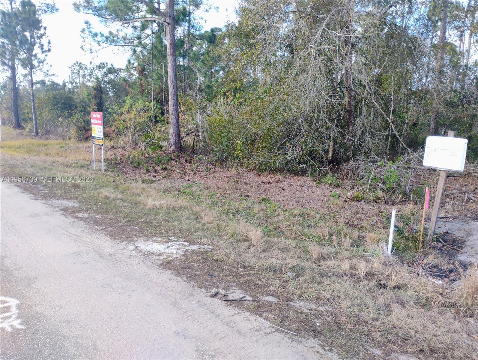 4217 Gerona, Avon Park FL 33872 photo 4