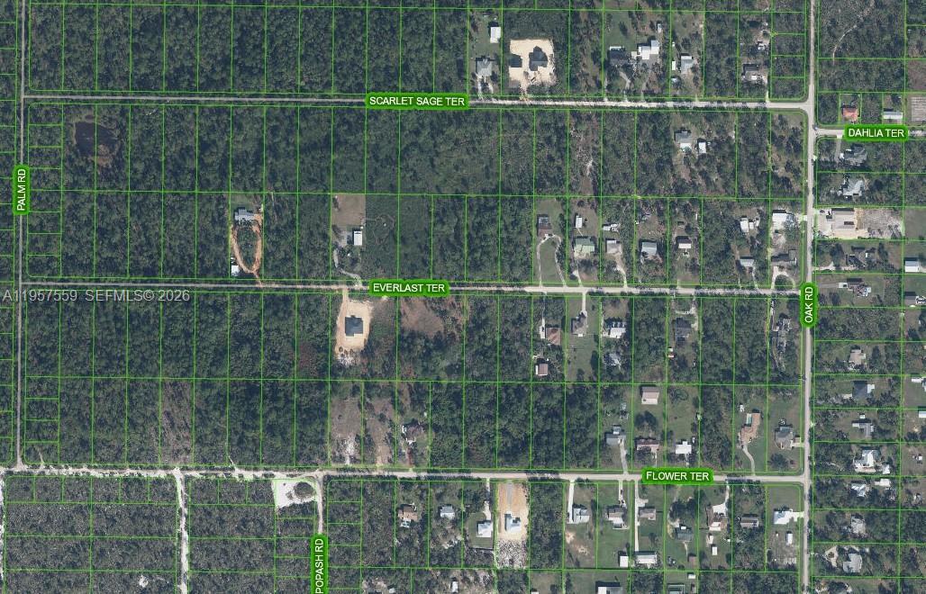 1981 SCARLET SAGE TER, Sebring FL 33875 photo 4