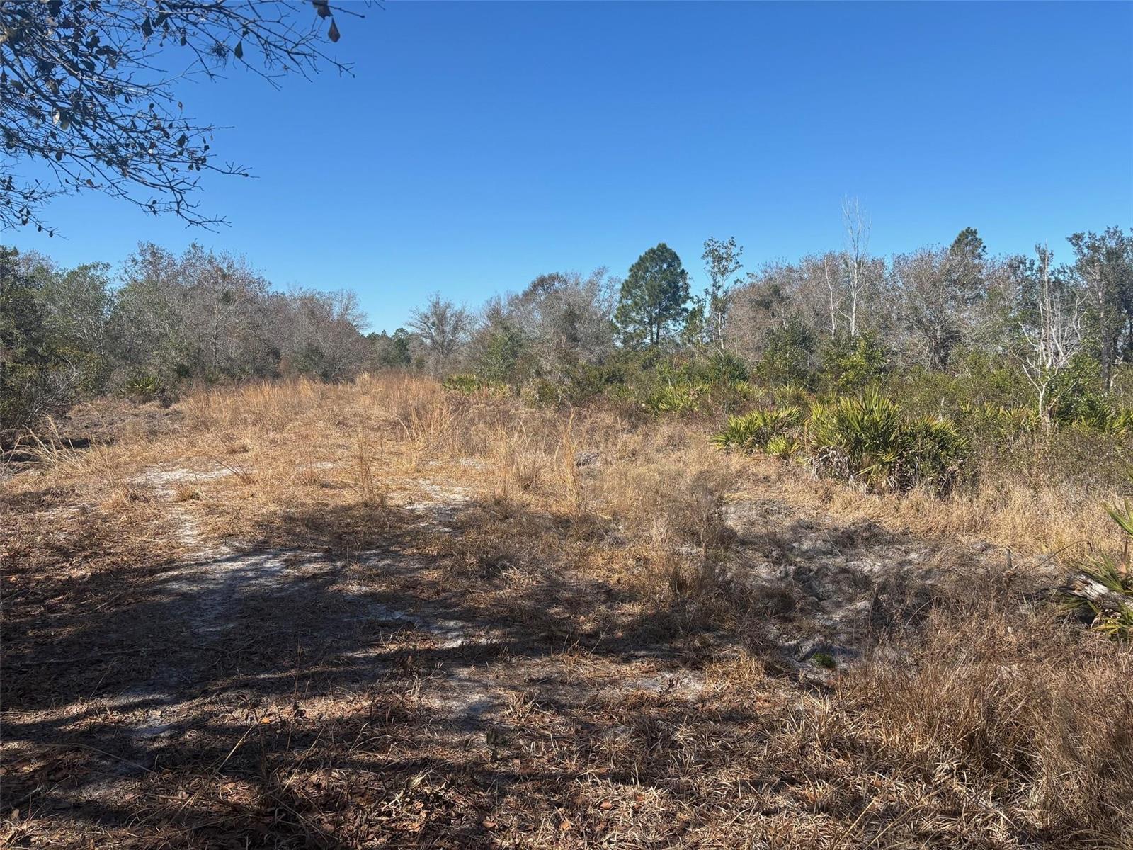 0 Xeriscape Nursery Road, Frostproof FL 33898 photo 2