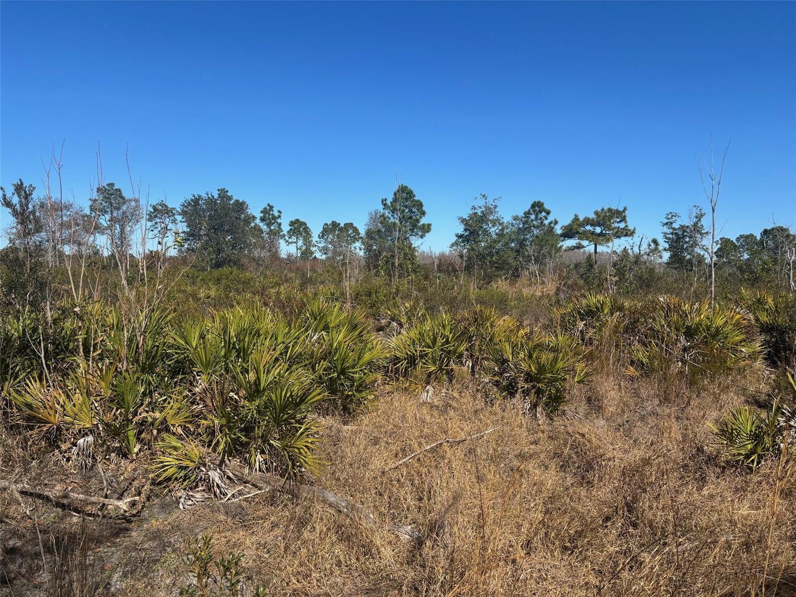 0 Xeriscape Nursery Road, Frostproof FL 33898