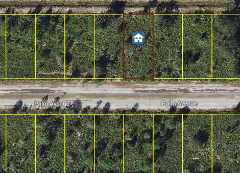 0 Palm Avenue, FL 33855