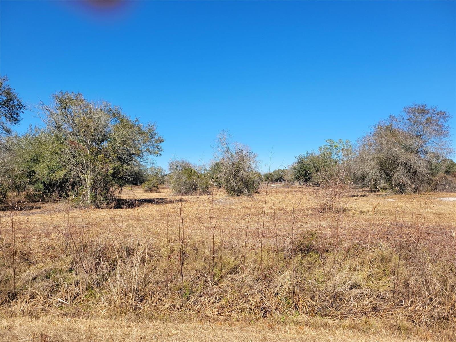 21335 270th Street, Okeechobee FL 34972 photo 2