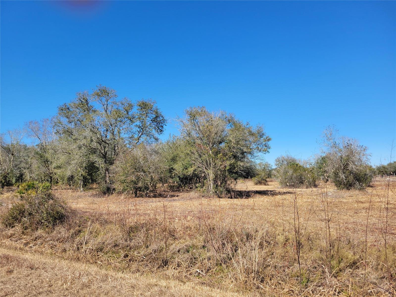 21335 270th Street, Okeechobee FL 34972