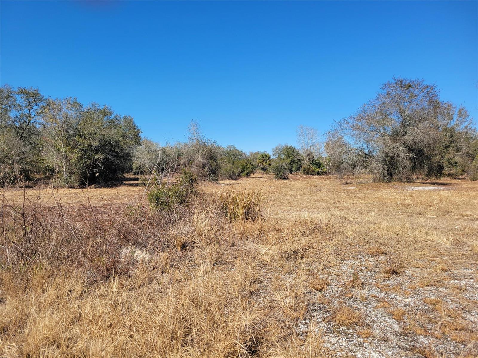 21335 270th Street, Okeechobee FL 34972 photo 4