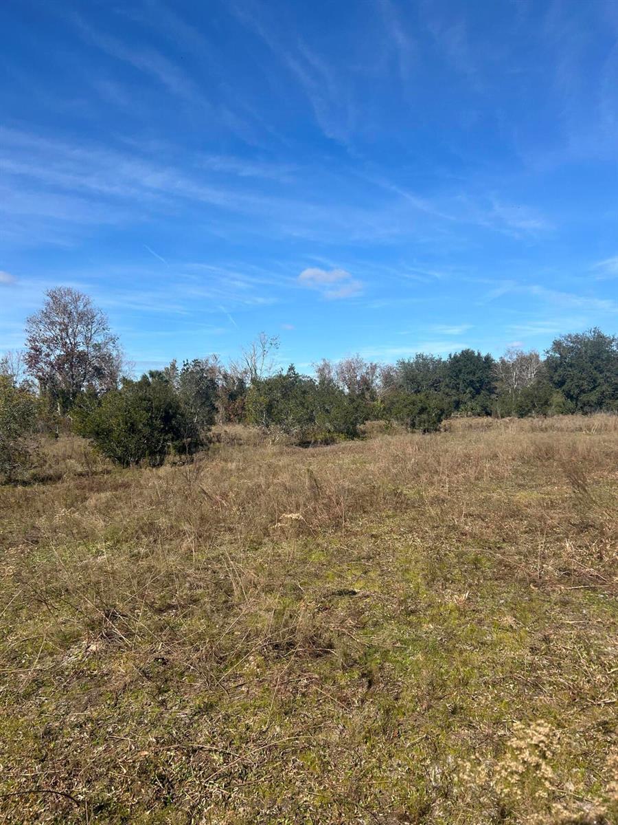 18034 NW 286th Street, Okeechobee FL 34972 photo 4