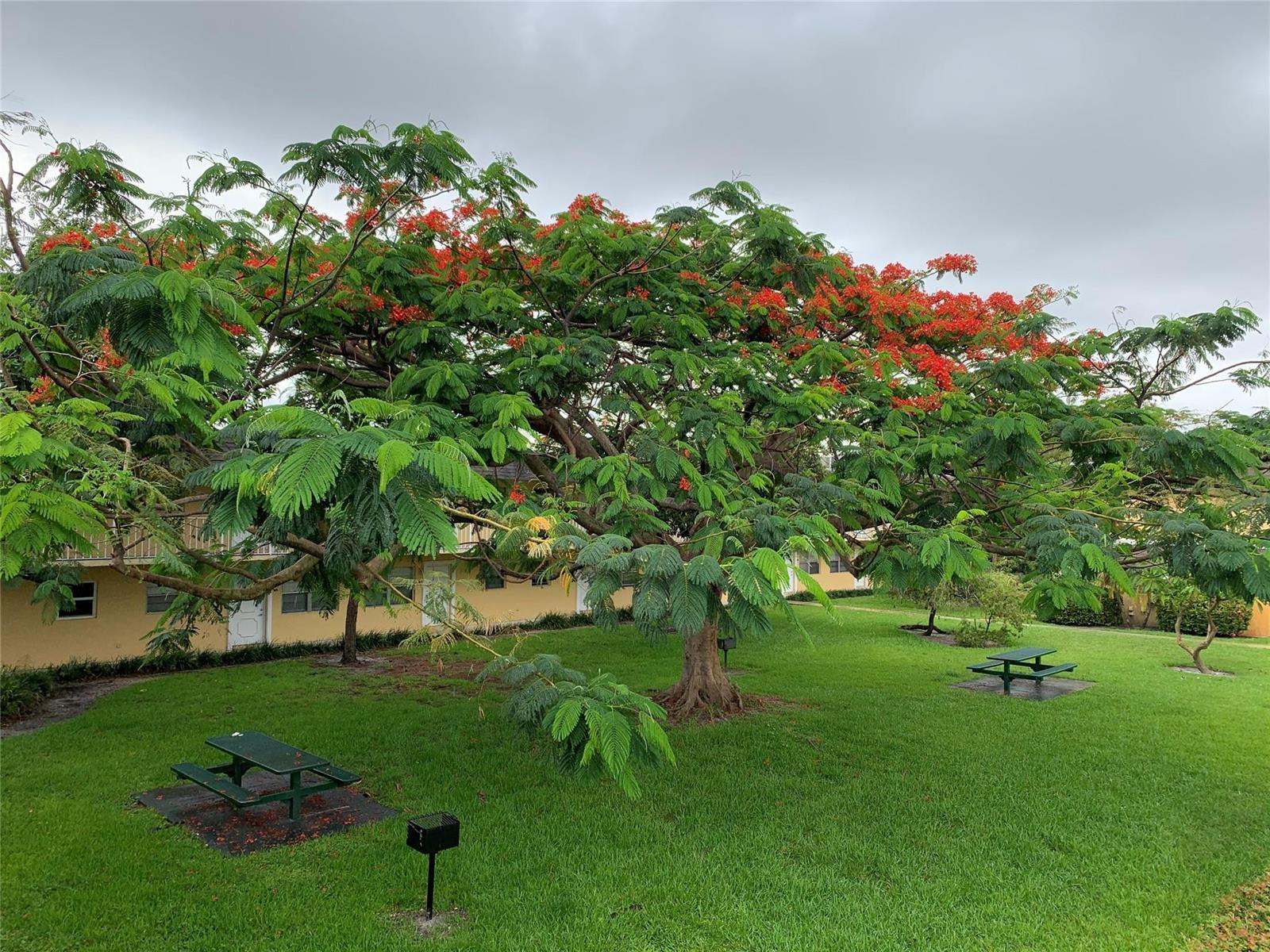 5168 NE 6th Avenue # 429, Fort Lauderdale FL 33334 photo 2