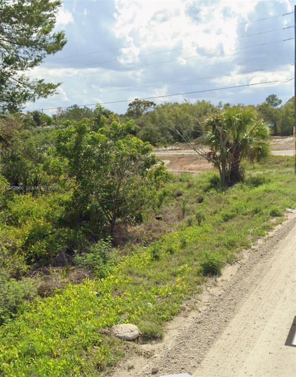425 Fawnwood, Lake Placid FL 33852 photo 4
