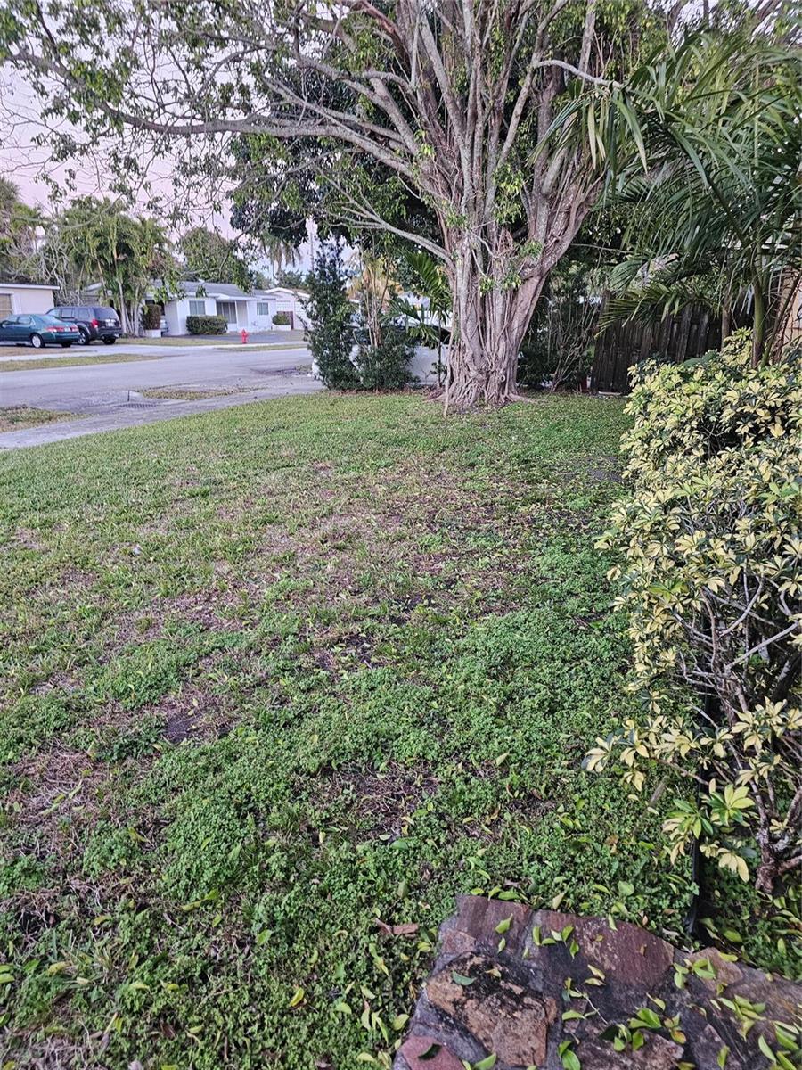 3340 SW 18th Street, Fort Lauderdale FL 33312 photo 4