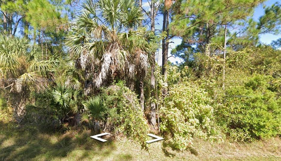 26224 Deer Rd, Punta Gorda FL 33955