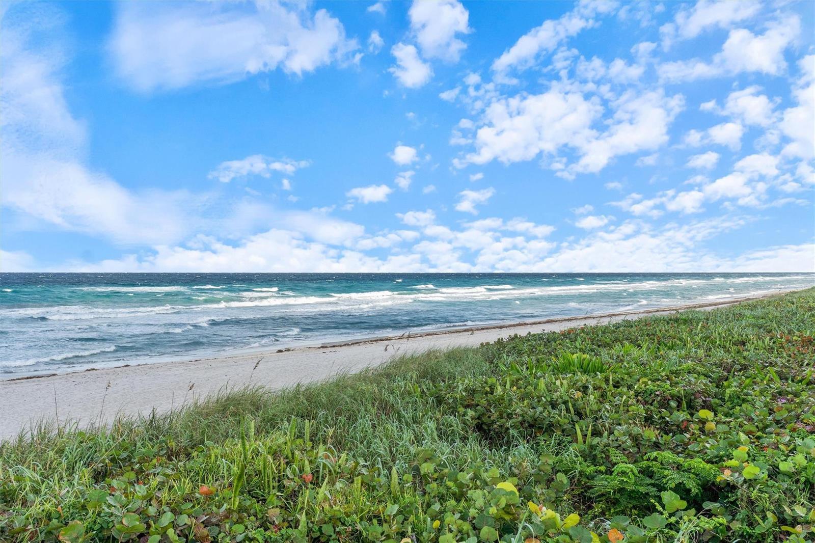 3100 S Ocean Boulevard # 105n, Palm Beach FL 33480 photo 3