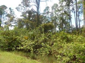 575 Avenida Del Sur, Clewiston FL 33440 photo 5