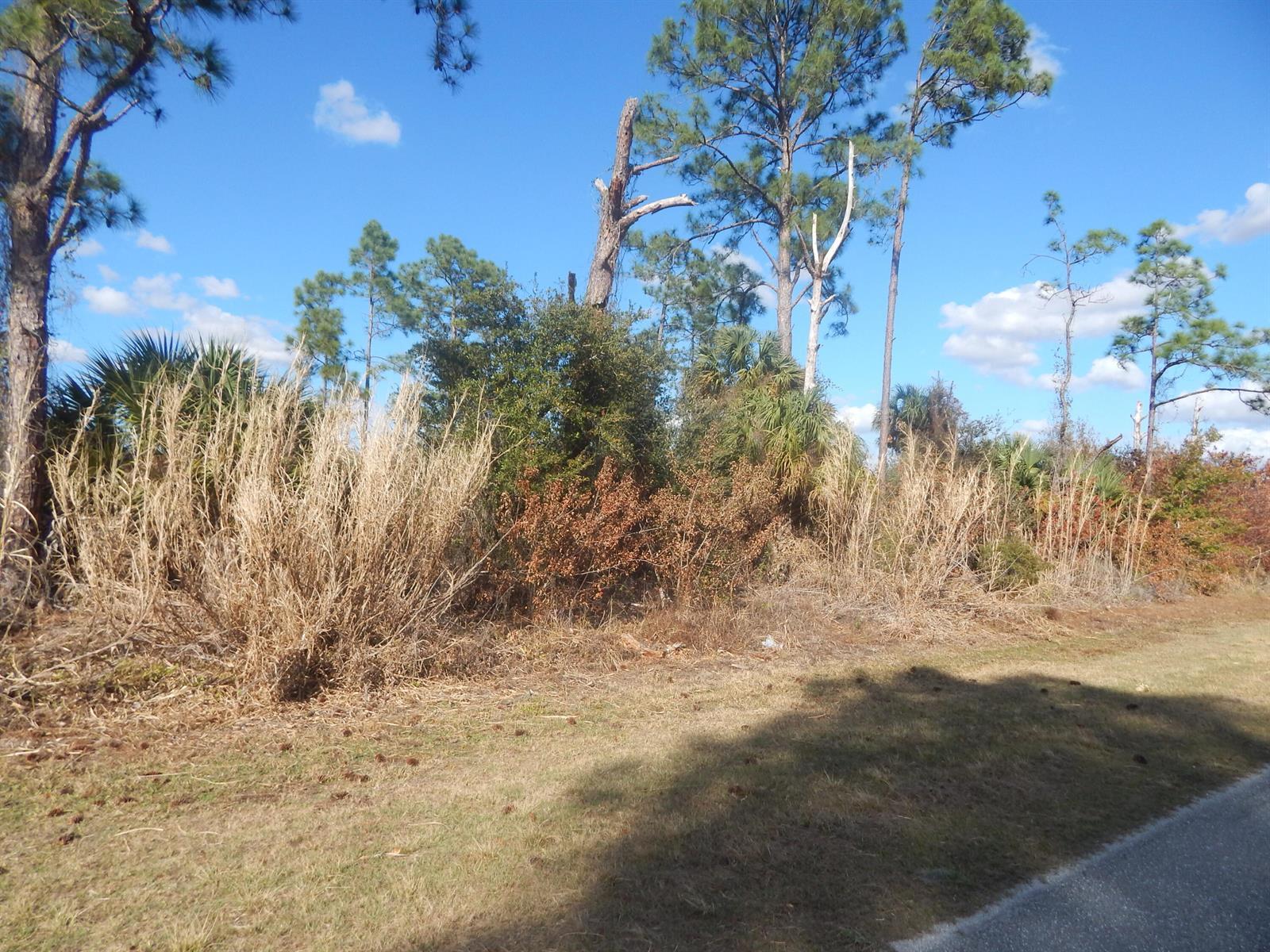 581 Avenida Del Sur, Clewiston FL 33440