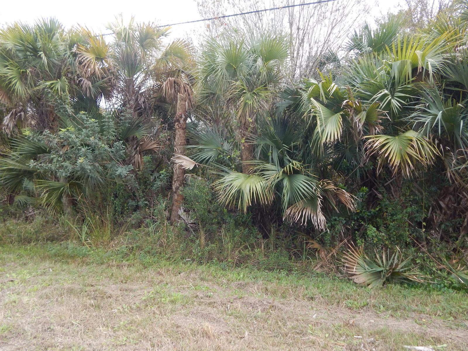 581 Avenida Del Sur, Clewiston FL 33440 photo 4