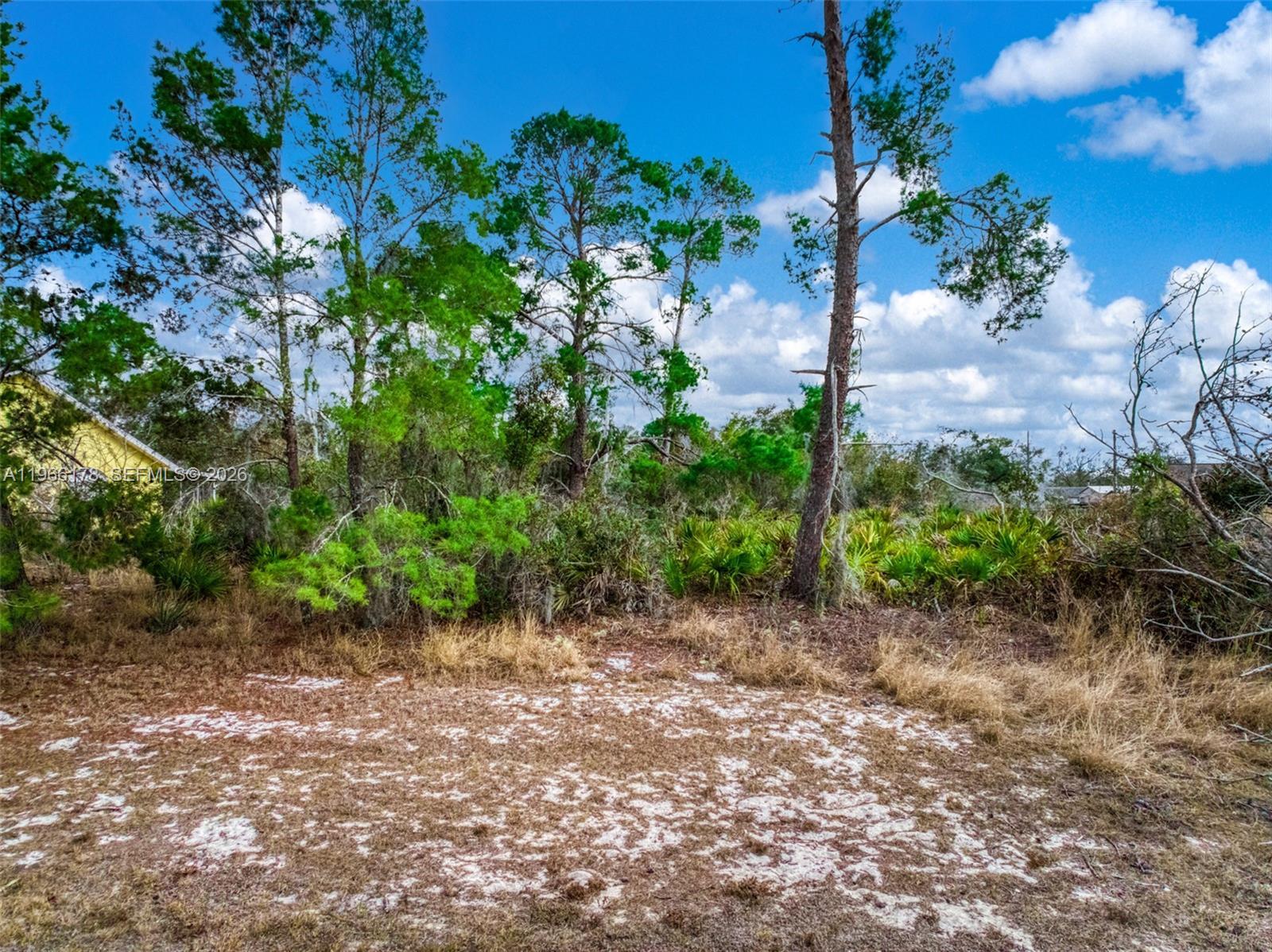 3085 W Scoralick Road, Avon Park FL 33825 photo 2