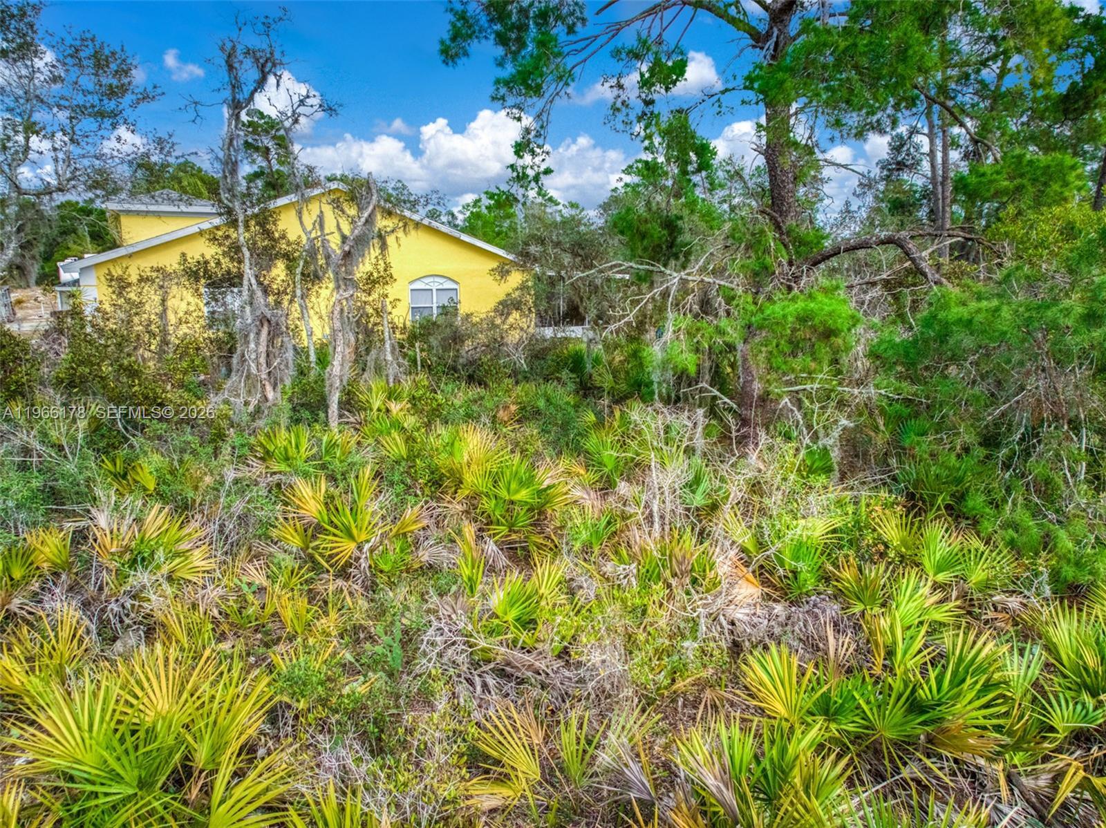 3085 W Scoralick Road, Avon Park FL 33825 photo 3