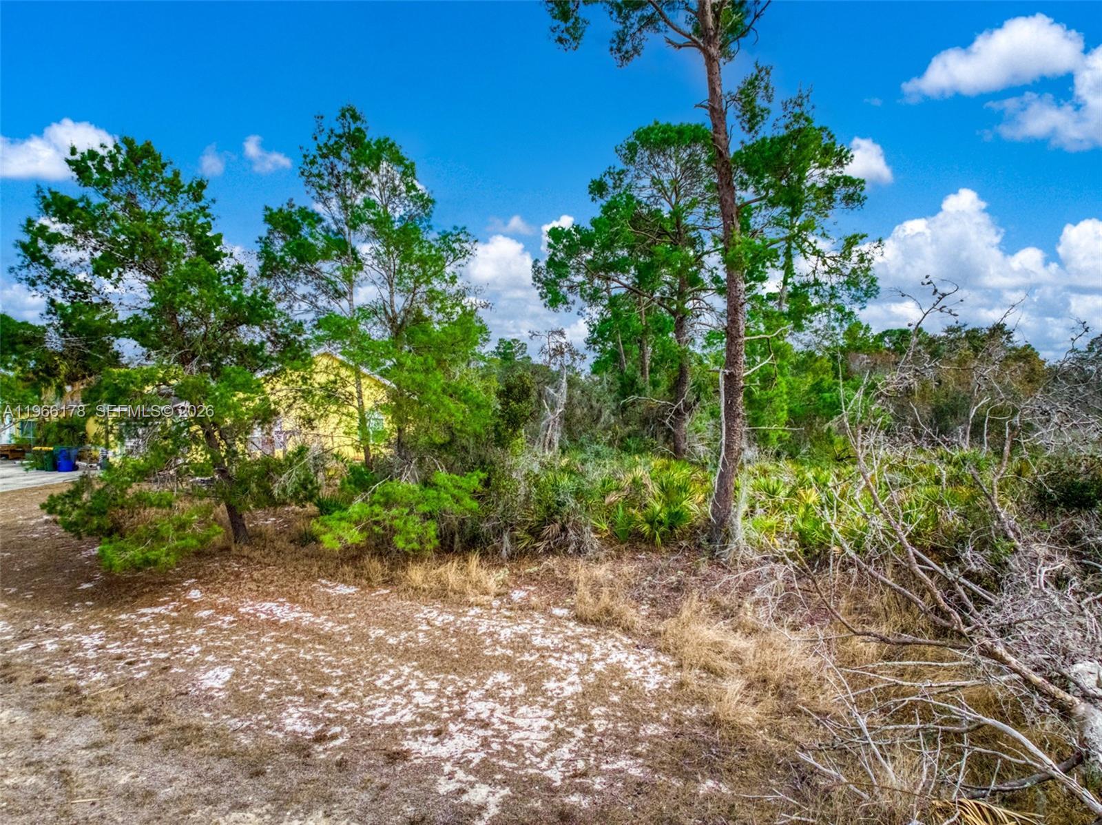 3085 W Scoralick Road, Avon Park FL 33825