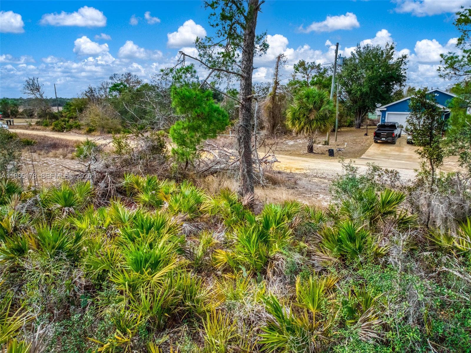 3085 W Scoralick Road, Avon Park FL 33825 photo 4