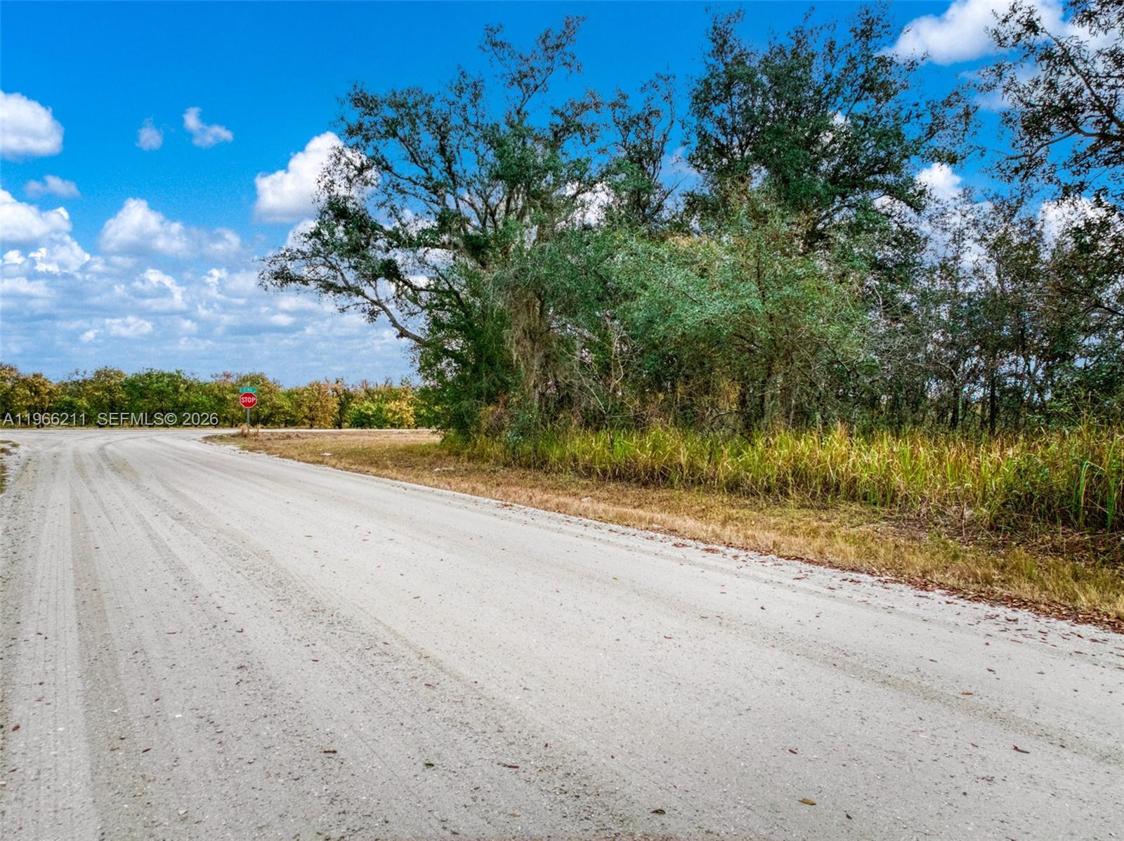 2713 W Hasbrouck Road, Avon Park FL 33825 photo 2