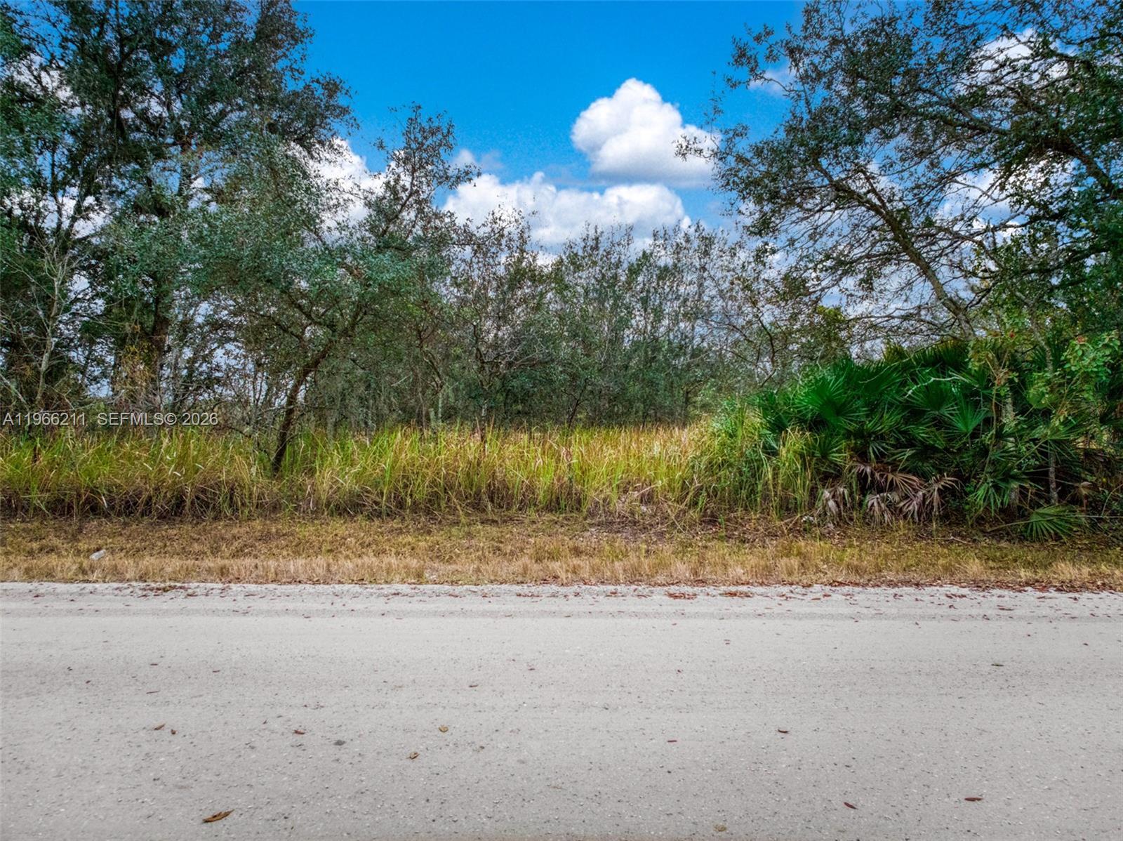 2713 W Hasbrouck Road, Avon Park FL 33825 photo 3
