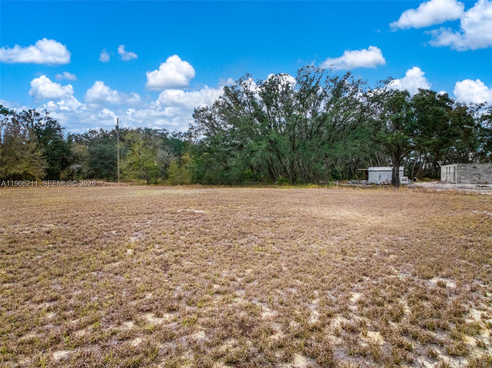 2713 W Hasbrouck Road, Avon Park FL 33825 photo 4