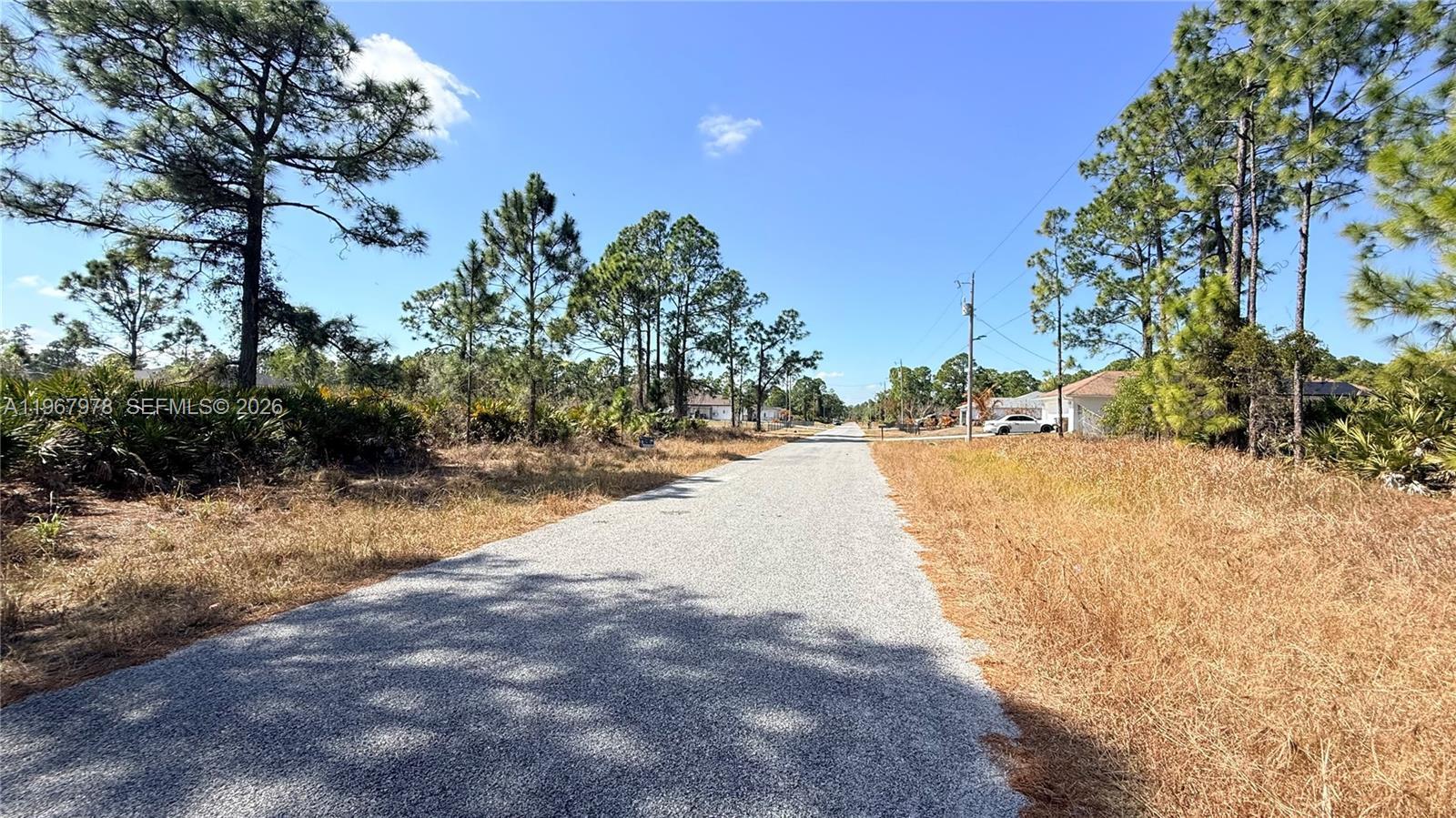 1076 E BELLS ST, Lehigh Acres FL 33974 photo 2