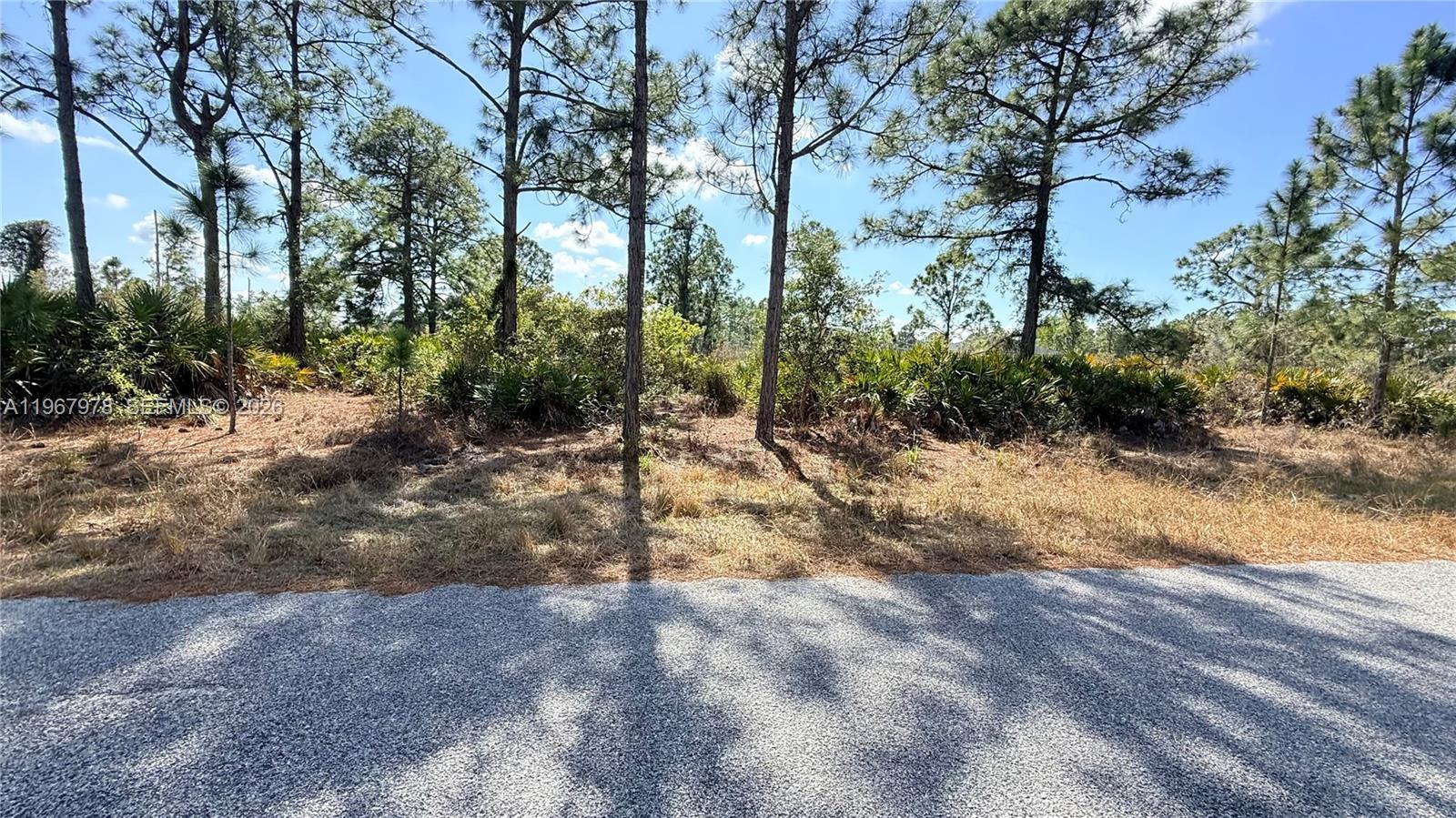 1076 E BELLS ST, Lehigh Acres FL 33974 photo 3