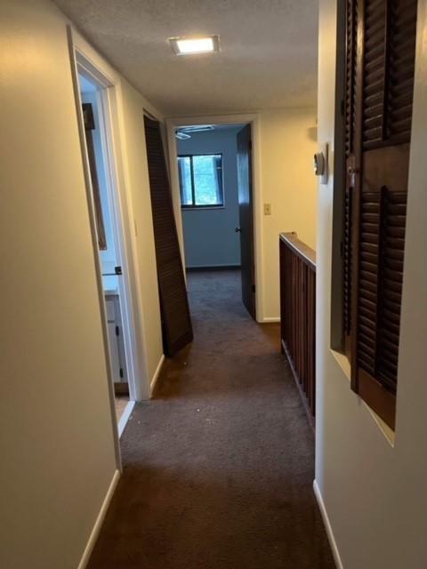 5922 Thomas Street, Hollywood FL 33021 photo 5
