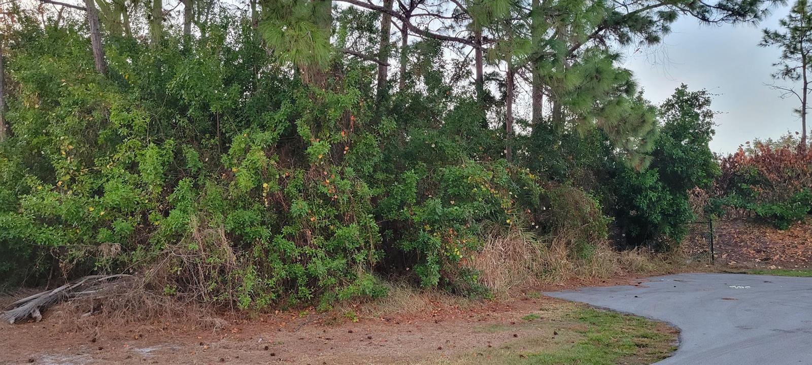 1550 SE Sutton Street, Port St. Lucie FL 34953 photo 2