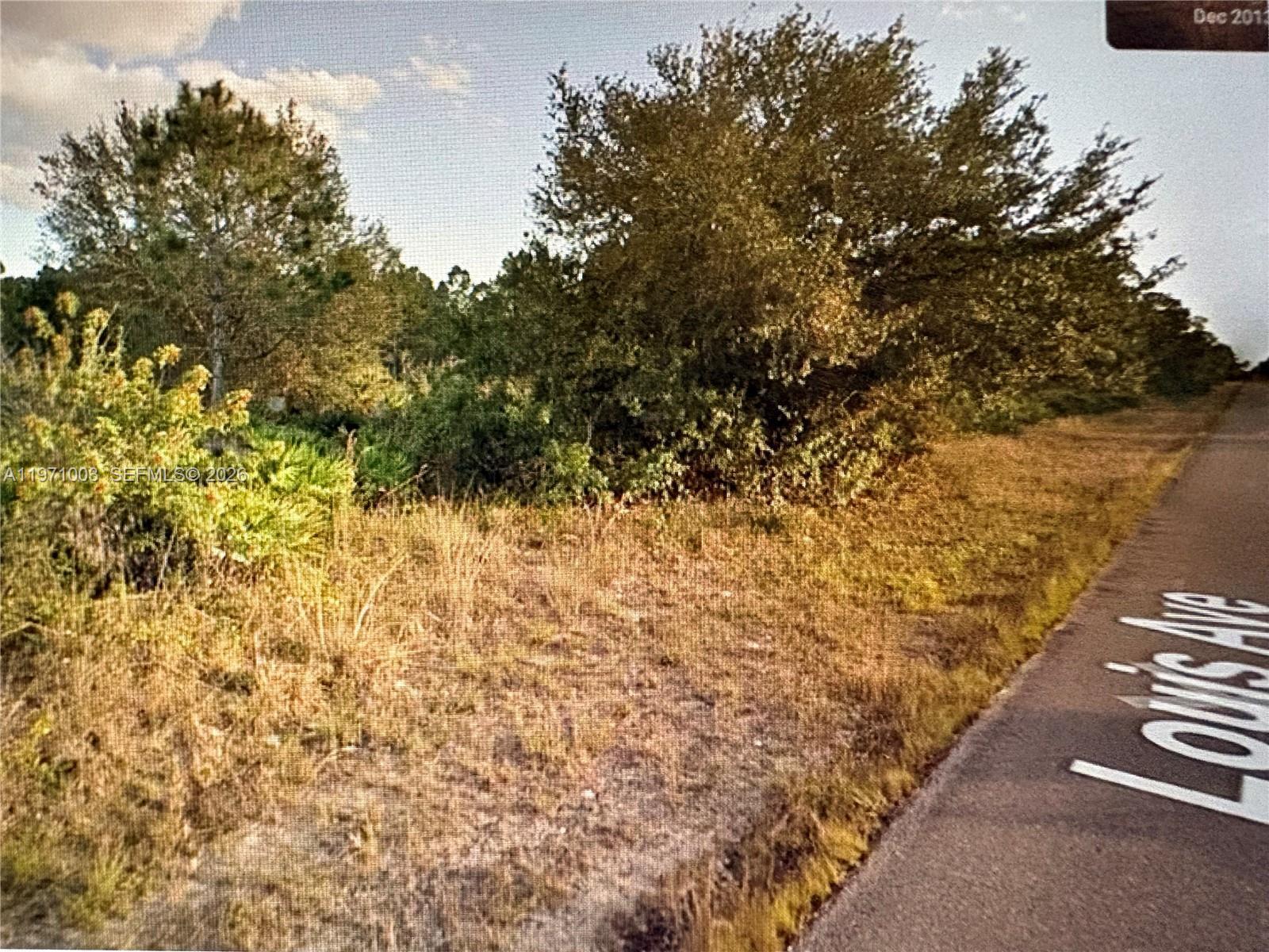 1320 Louis Ave, Lehigh Acres FL 33972 photo 2