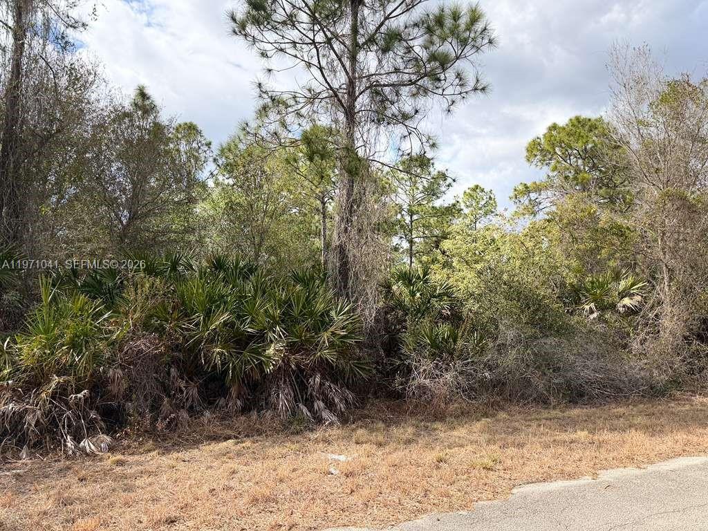 2119 LEROY, Lehigh Acres FL 33920 photo 2