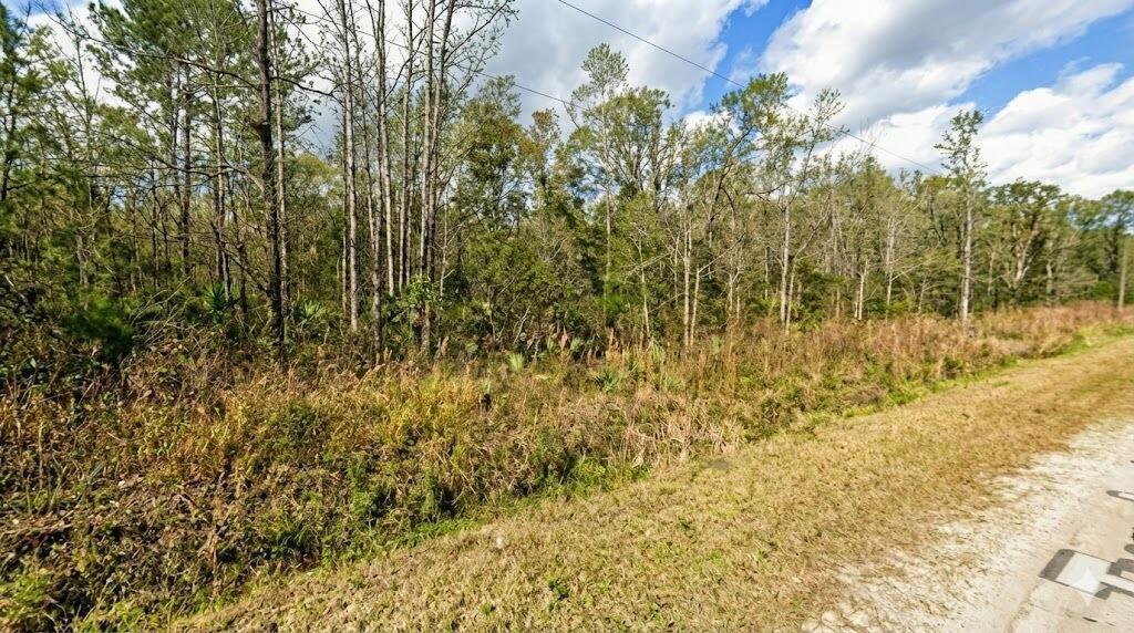 10655 Turpin Avenue, FL 32145 photo 4