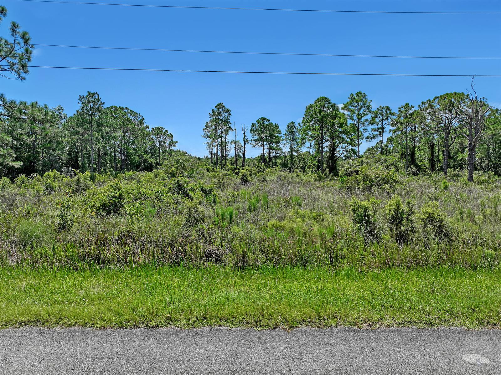 540 NE 365th Lane, Okeechobee FL 34972 photo 2