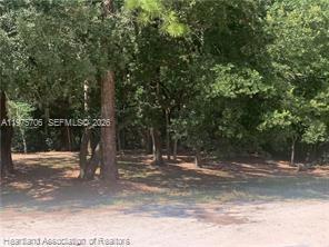 2326 W Barben Road, Avon Park FL 33825 photo 4