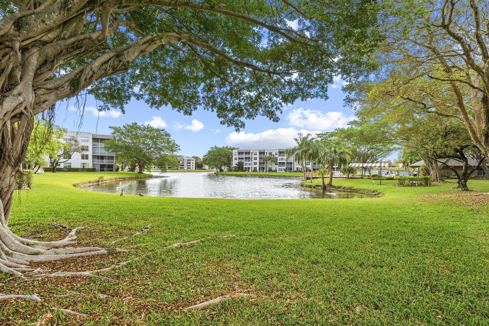 9340 Lagoon Place # 206, Davie FL 33324