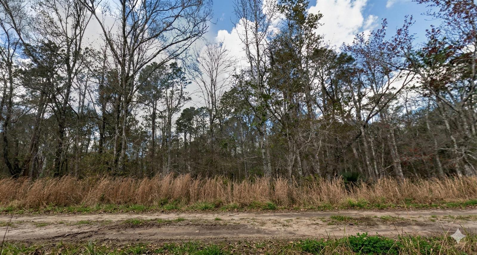 10335 Hennessey Avenue, FL 32145 photo 3