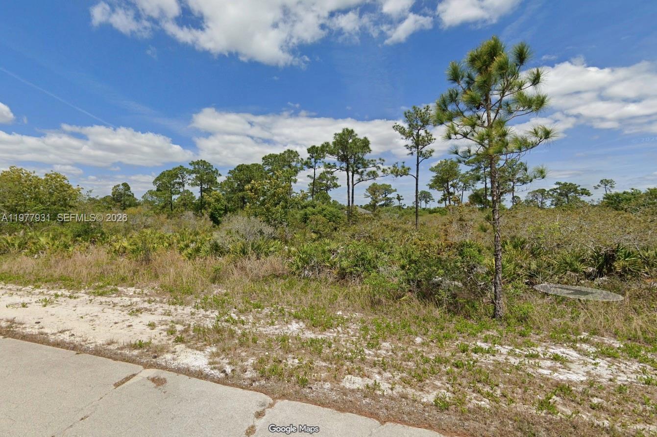 217 Warrior St, Lake Placid FL 33852 photo 2
