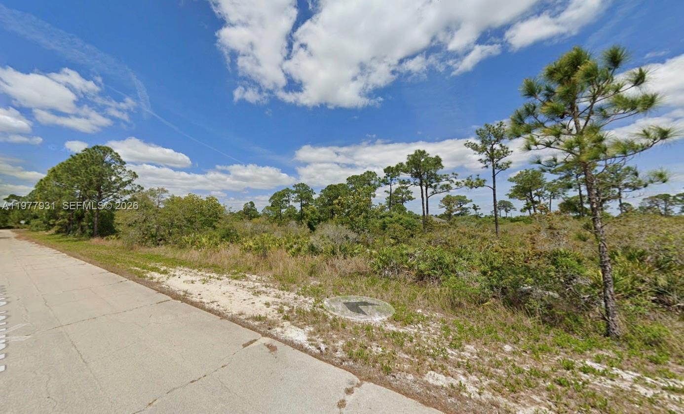 217 Warrior St, Lake Placid FL 33852 photo 3