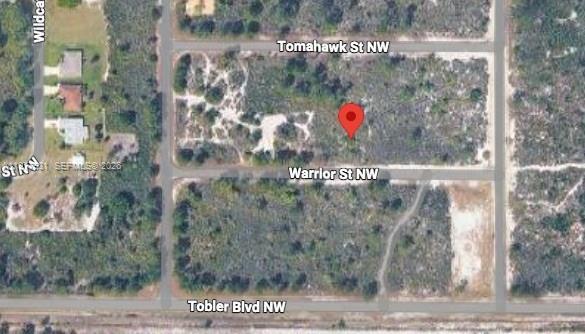 217 Warrior St, Lake Placid FL 33852 photo 5