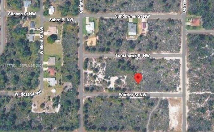 217 Warrior St, Lake Placid FL 33852 photo 4