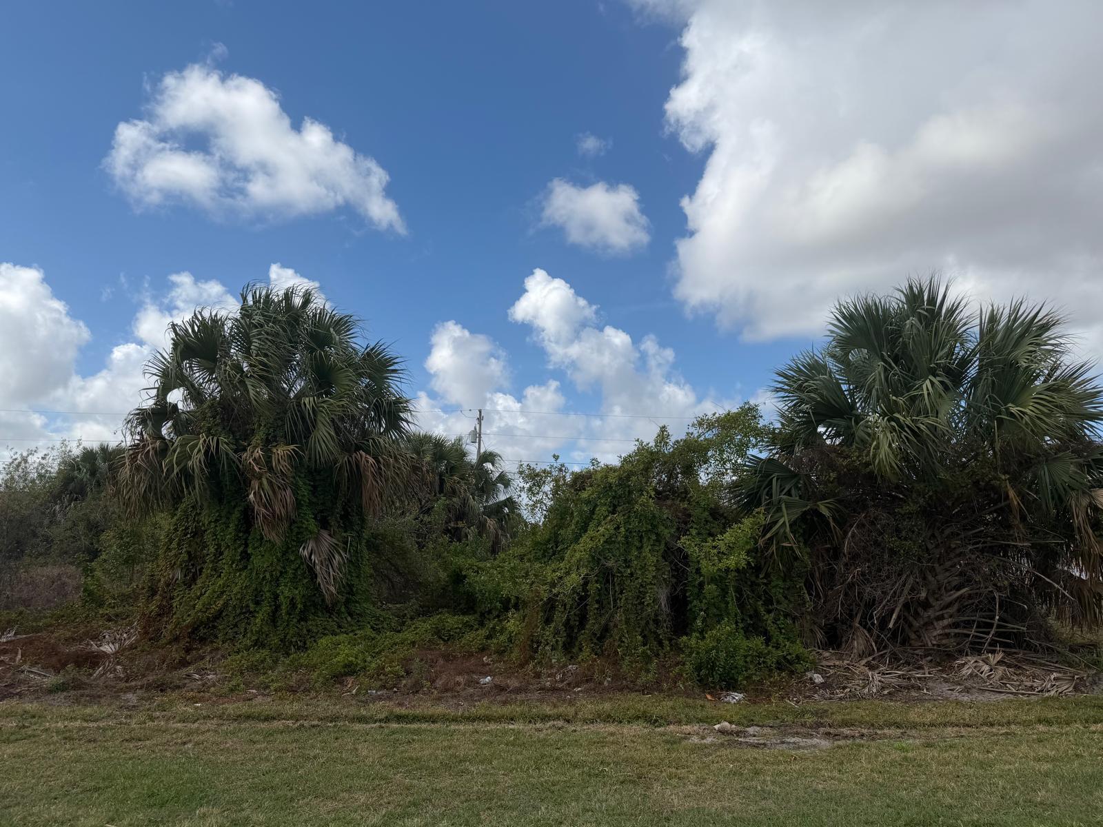 1658 SW Hampshire Lane, Port St. Lucie FL 34953