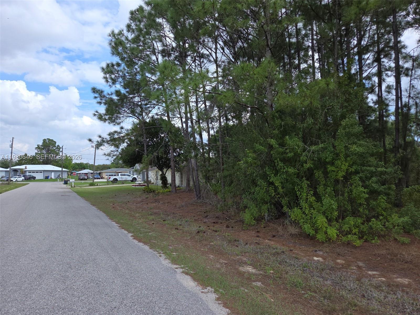 655 LYNN DR, Lake Placid FL 33852 photo 5
