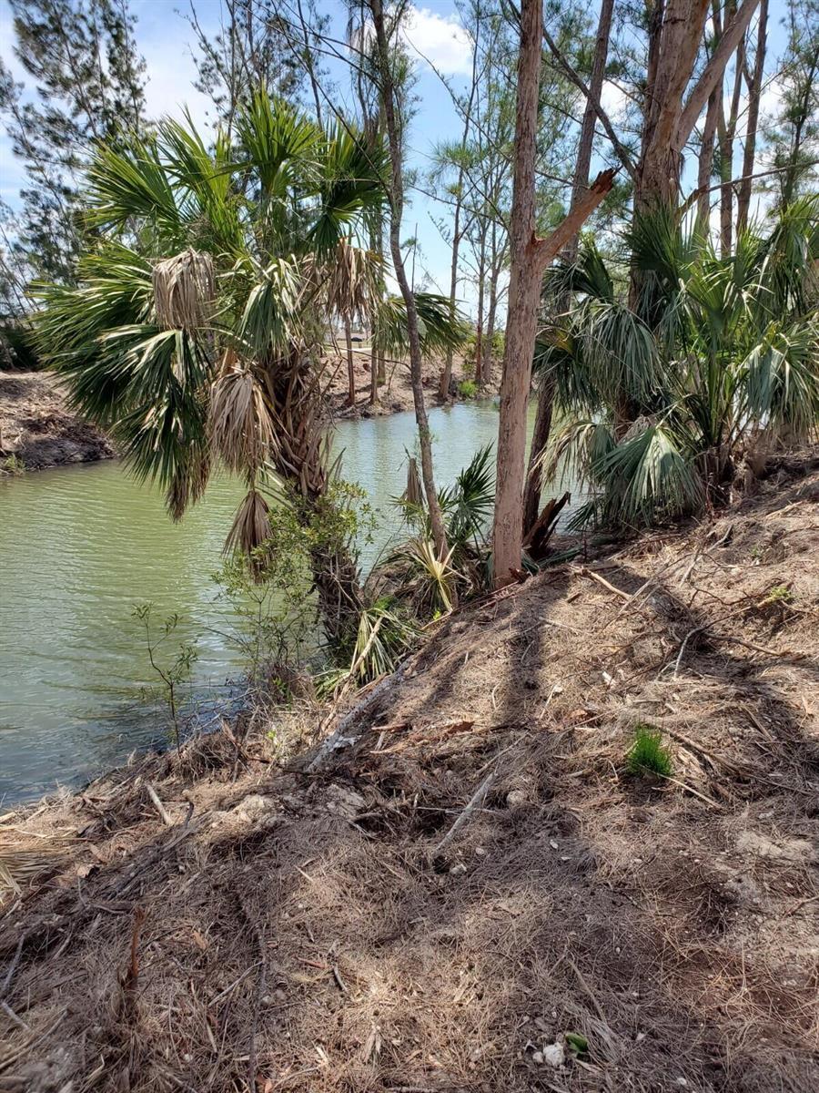 3905 NE 9th Avenue, Cape Coral FL 33909