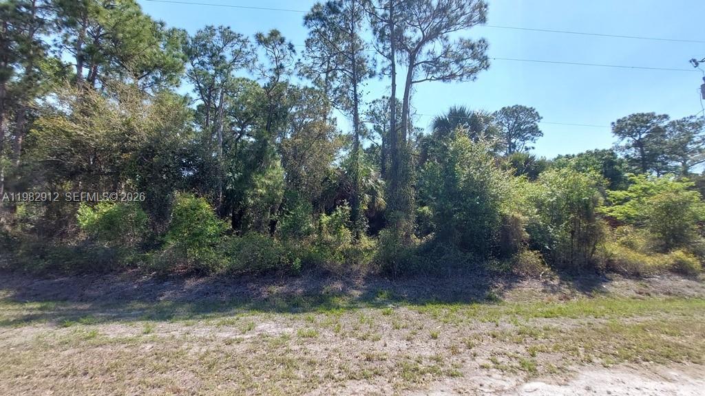 165 N Sendero St, Clewiston FL 33440 photo 3