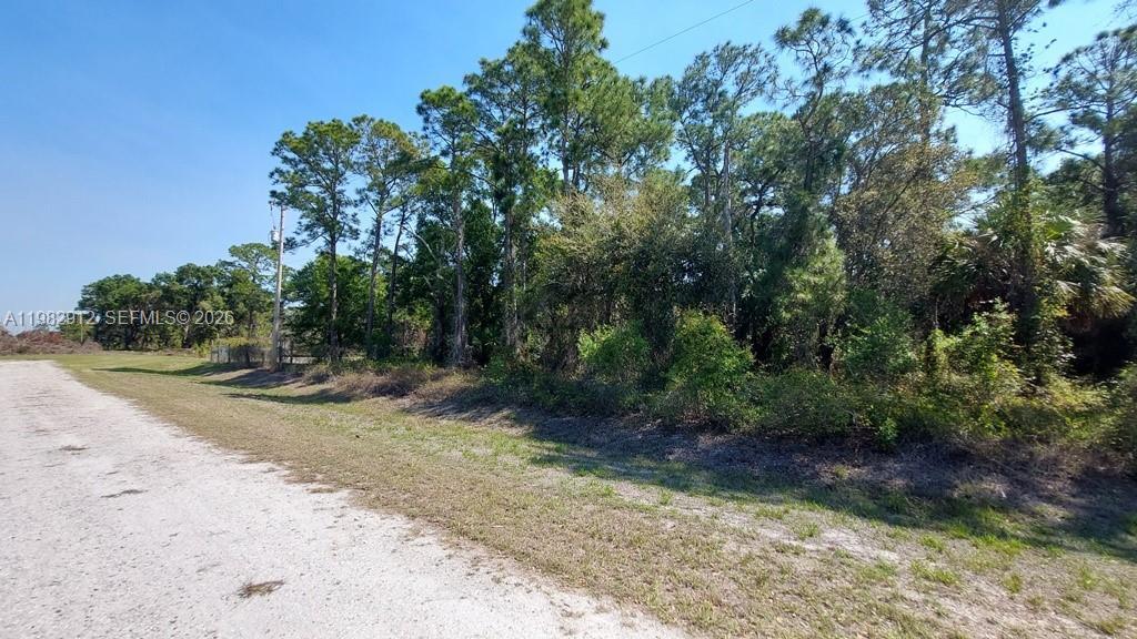 165 N Sendero St, Clewiston FL 33440 photo 4