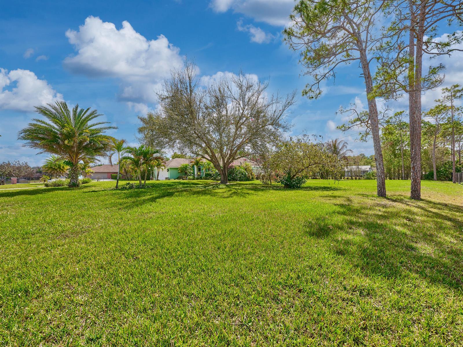 14578 Orange Boulevard, FL 33470 photo 5